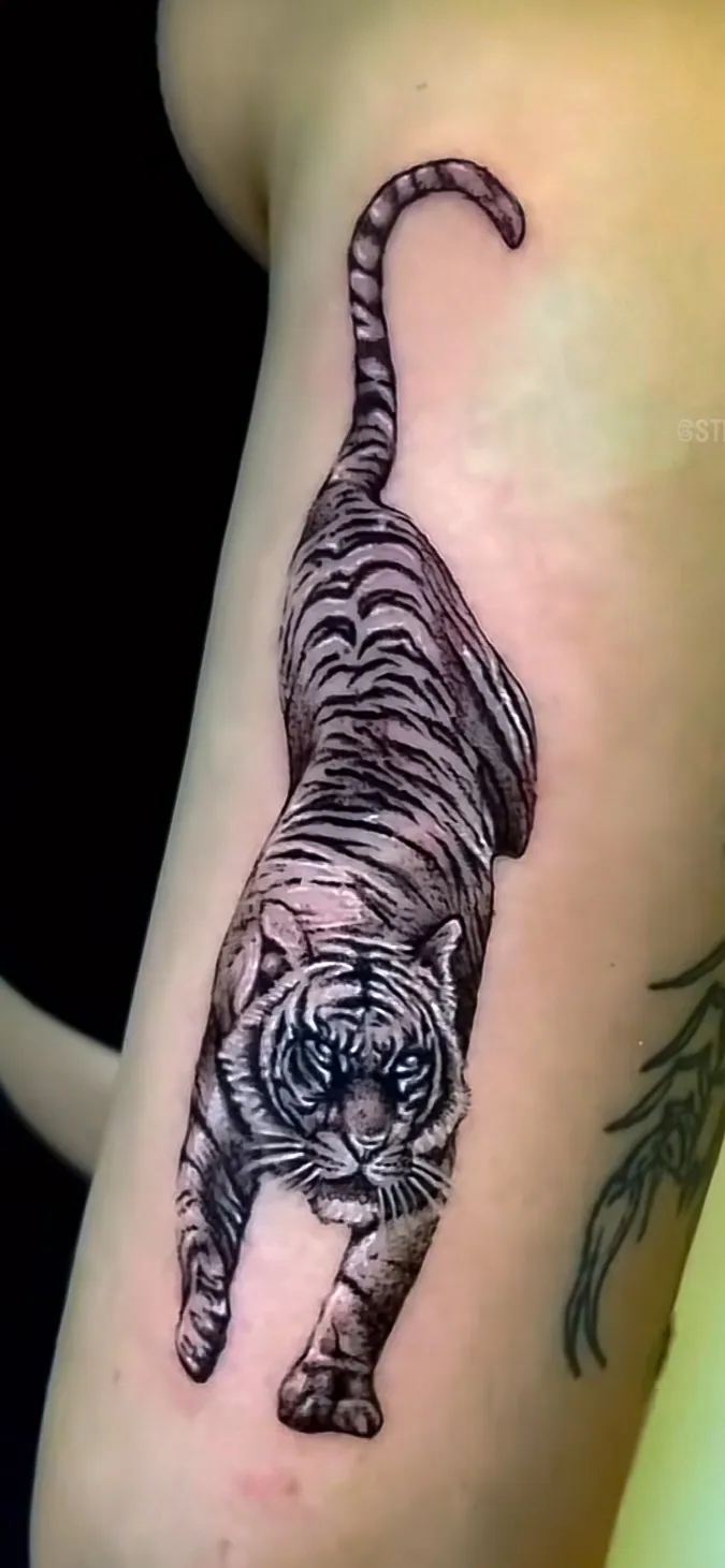 black and grey tiger arm piece tattoo by Steve Bachman, Long Beach